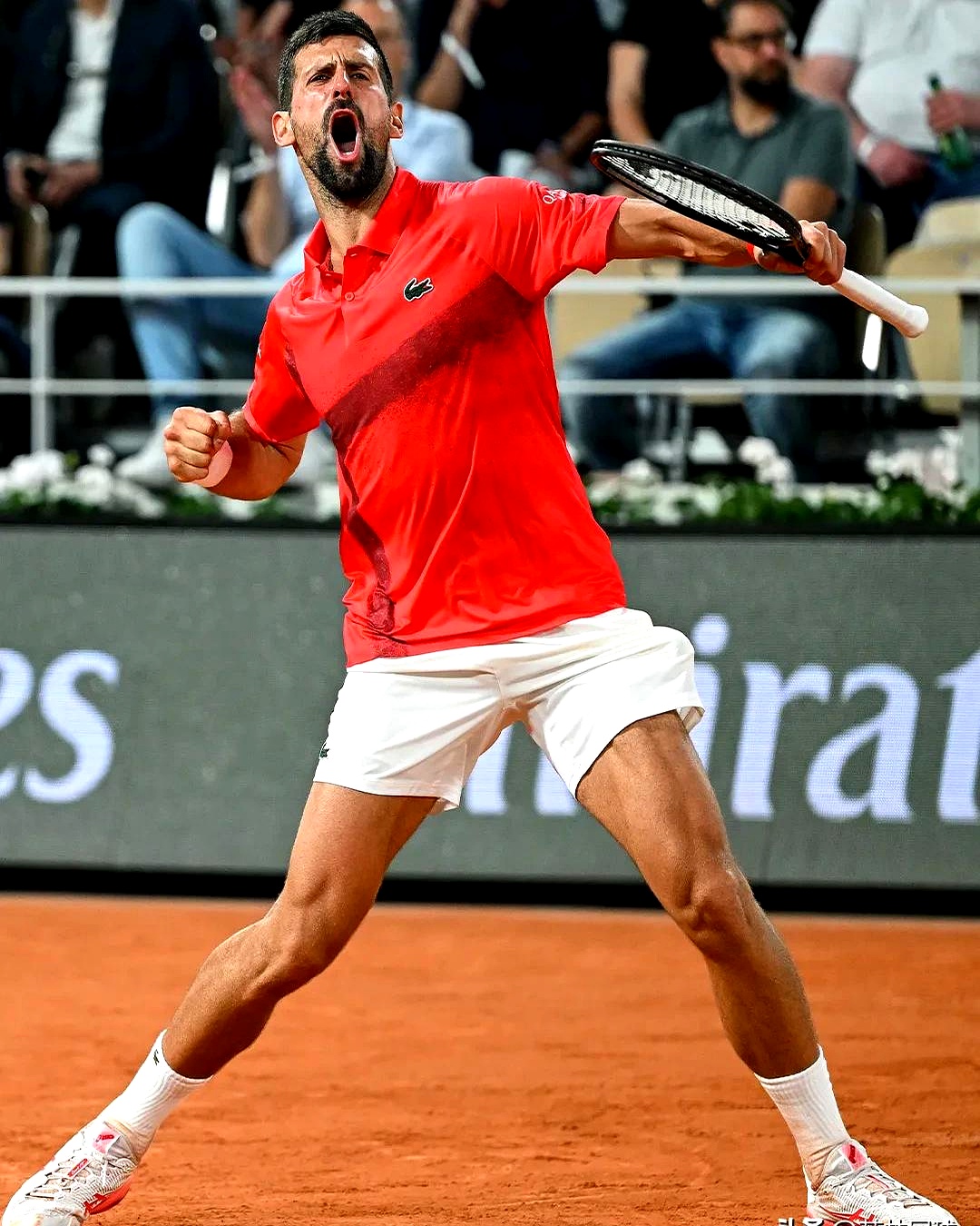 戴维斯杯力克ATP总决赛，德约科维奇点燃赛场