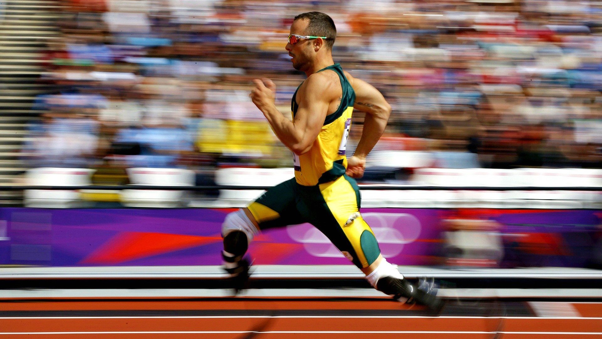 福克斯的锁链，当防守成为总决赛最锋利的剑