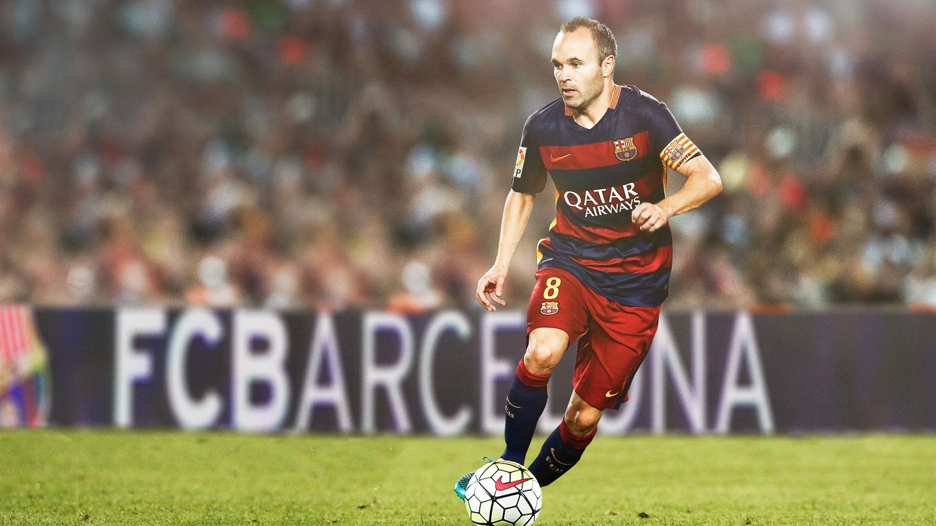 2026世界杯焦点战,鹈鹕展翅击溃猛龙,战术革命席卷绿茵场