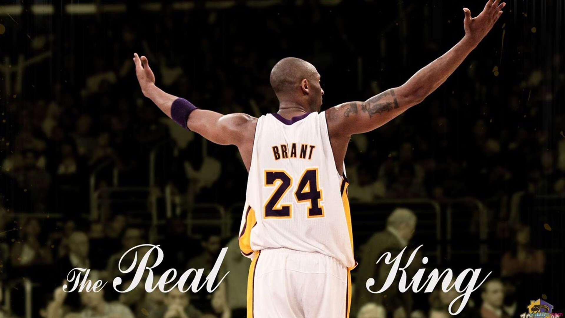 世界排名争夺战之夜，武切维奇完成里程碑，当数据超越胜负